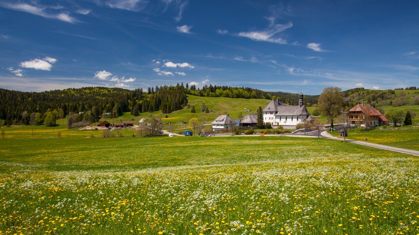 Landschaft im Biosphärengebiet Schwarzwald