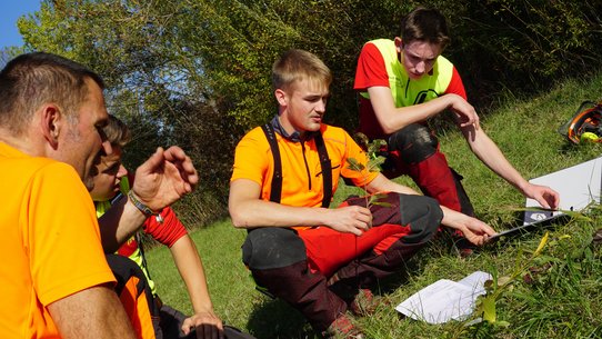 Junge Menschen arbeiten im Wald