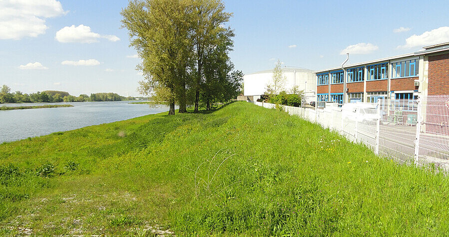 Das Bild zeigt einen mit Gras bewachsenen Damm. Links davon fließt der Rhein, rechts ist ein eingezäuntes Firmengelände mit Gebäude zu sehen.