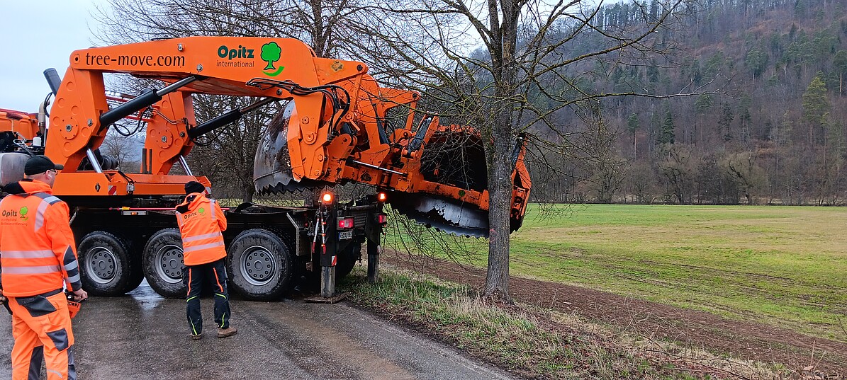 Platzieren der Greifzange am unteren Stamm