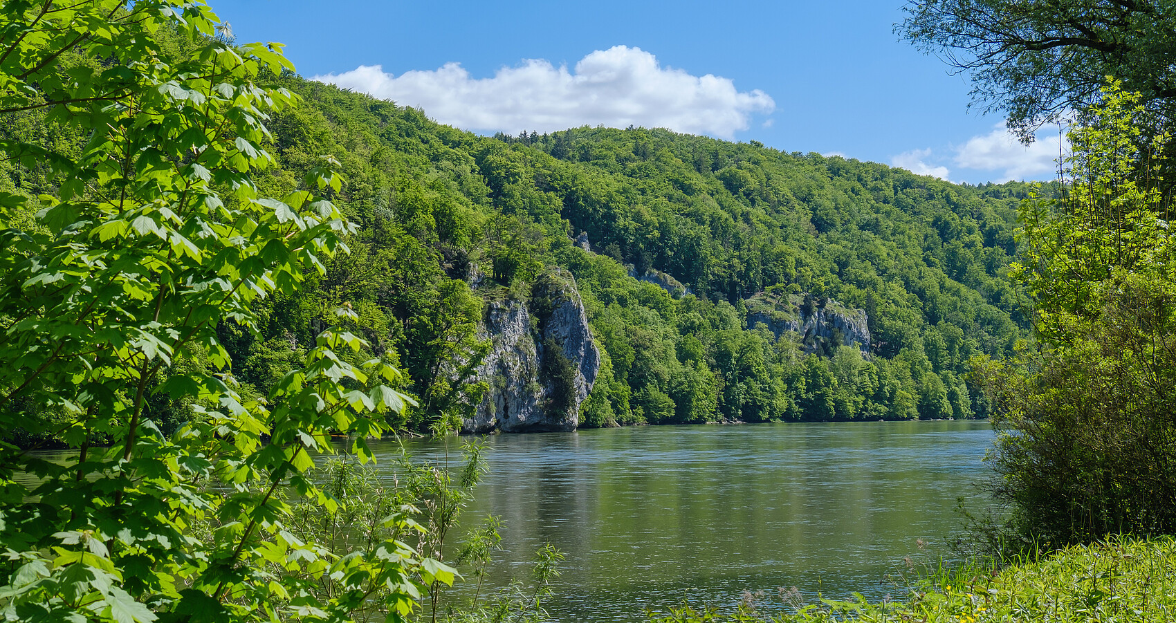 Blick von einem grün bewachsenen Ufer der Donau auf die andere Seite