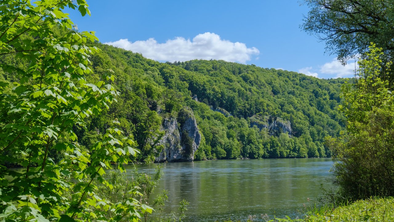 Blick von einem grün bewachsenen Ufer der Donau auf die andere Seite