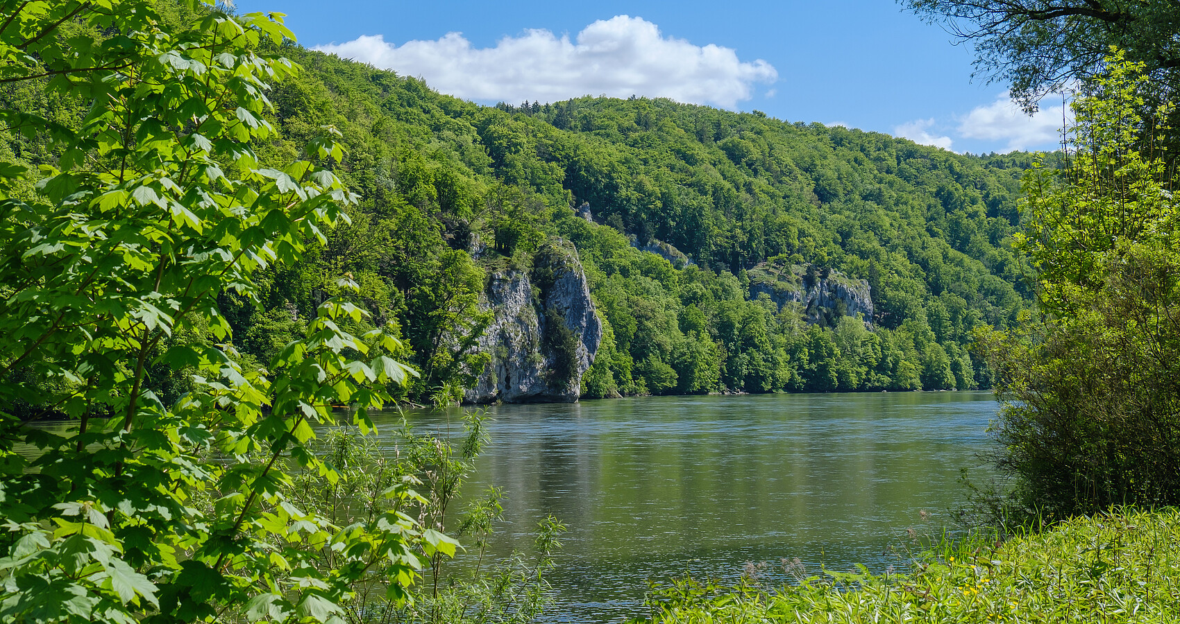 Blick von einem grün bewachsenen Ufer der Donau auf die andere Seite