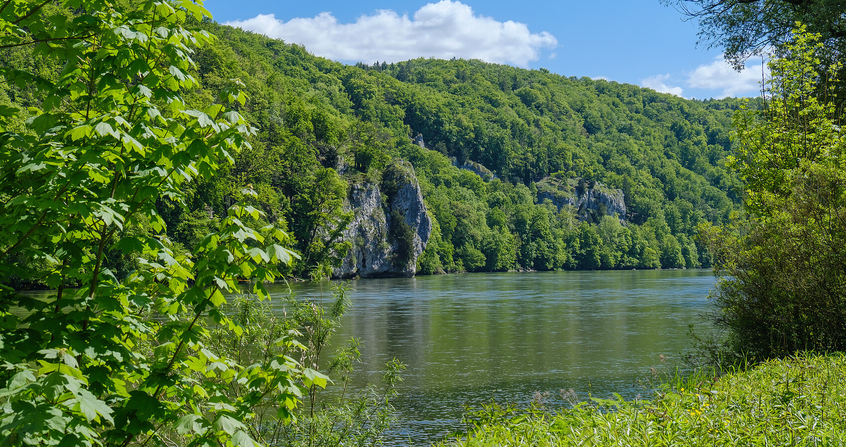 Blick von einem grün bewachsenen Ufer der Donau auf die andere Seite