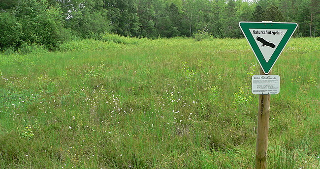 Blick in ein Naturschutzgebiet, im Vordergrund steht das NSG-Schild