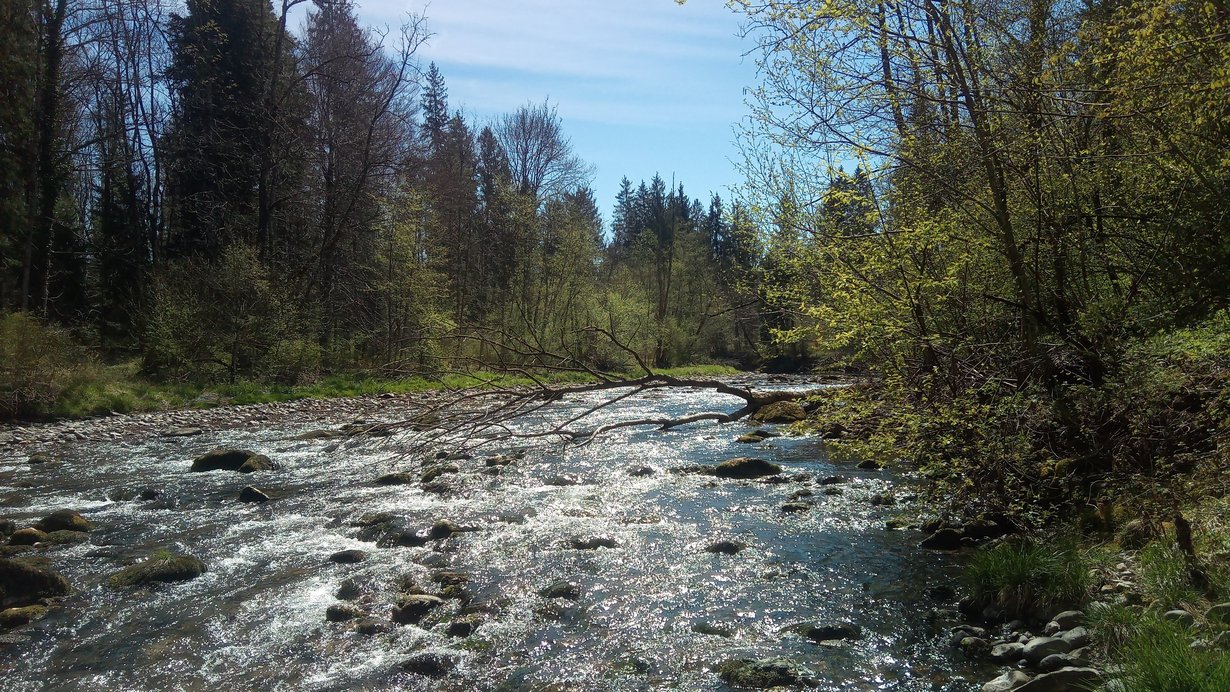 Blick auf die Untere Argen