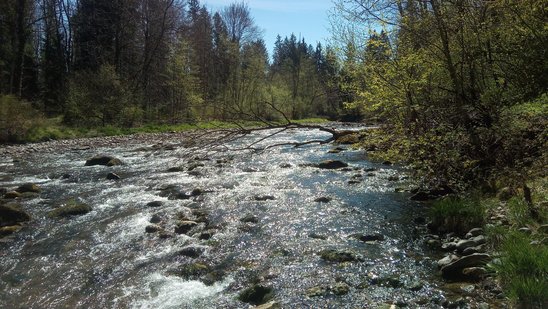 Blick auf die Untere Argen