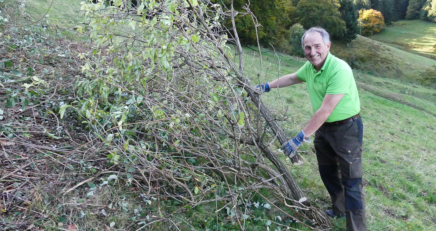 Biosphären-Geschäftsführer Walter Kemkes packt an beim Entbuschen einer Weide..