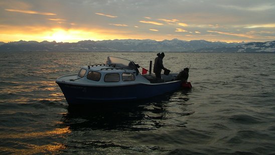 Fischer auf dem Bodensee