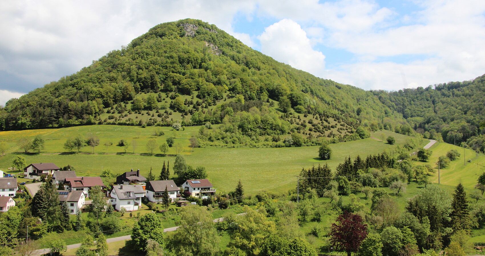 Bild zeigt das Naturschutzgebiet Oberer Berg