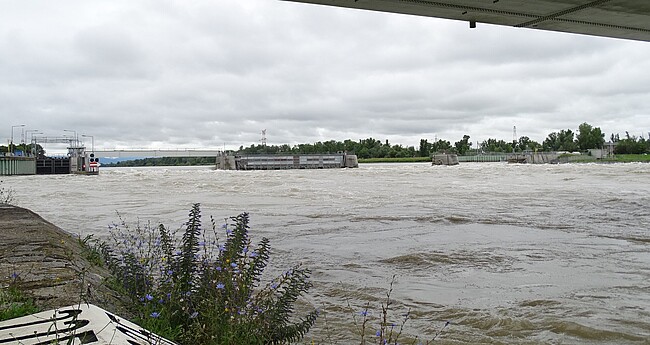 Kulturwehr Breisach Hochwasser am Kulturwehr in Breisach