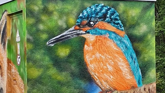 Graffiti Eisvogel, gemalt von Kevin Meyle, Schutterwald