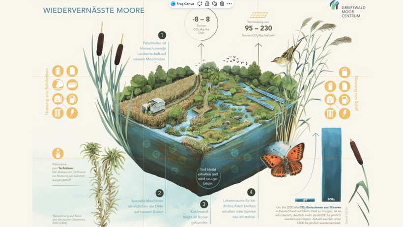 Moorinfographik