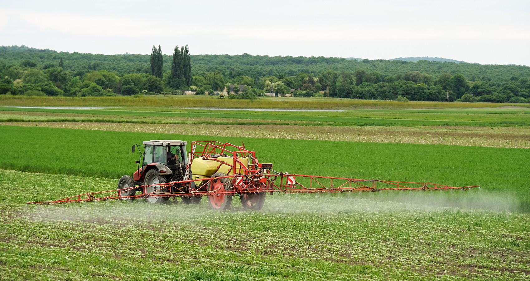 Landwirt mit Traktor sprüht Pestizide oder Dünger auf das Feld
