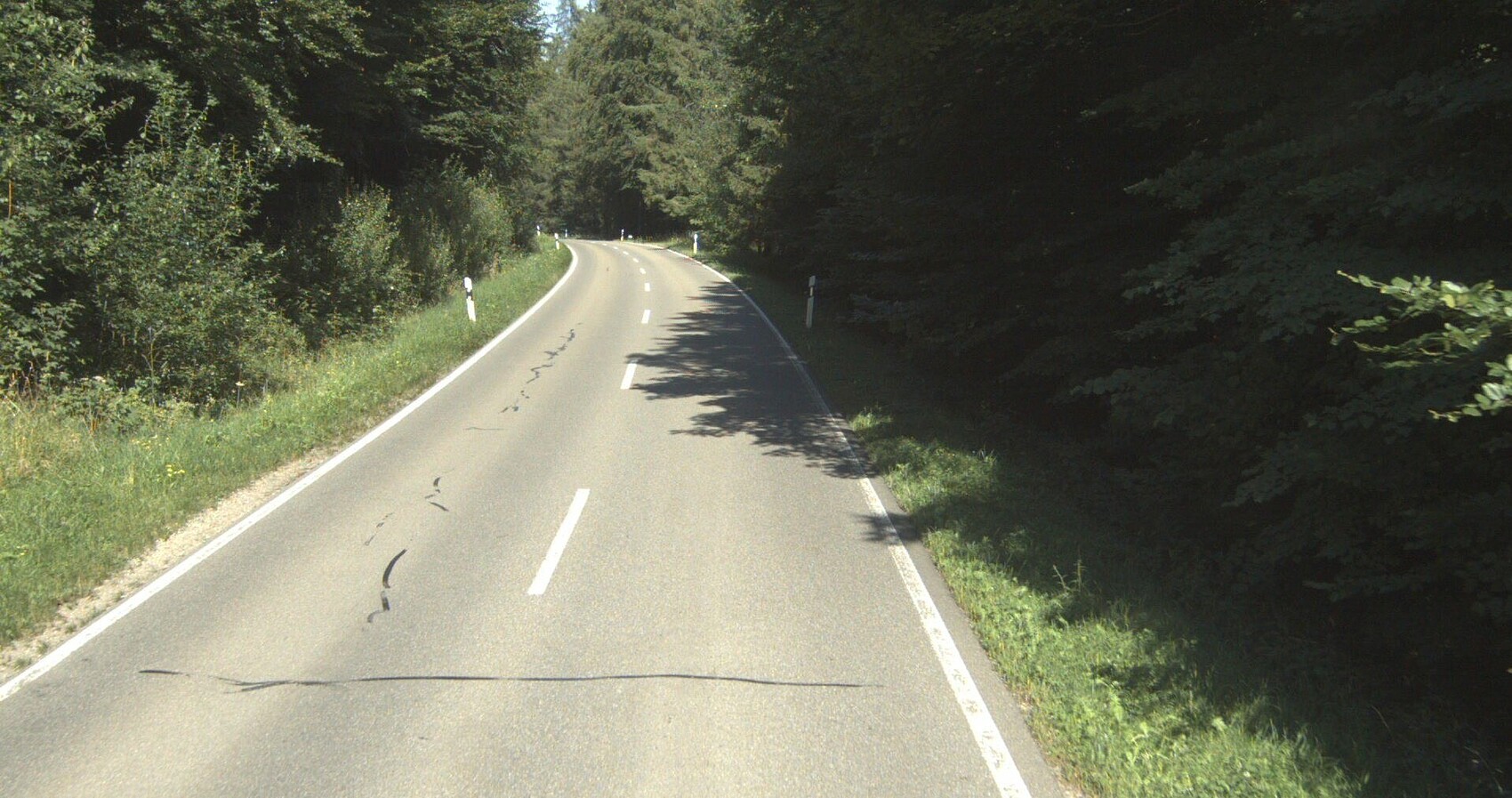 Das Bild zeigt die L 280 Heggbach - Schönebürg die durch einen Wald führt
