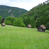 Magere Flachland-Mähwiesen mit traditionellen Heuhütten im Alten Mühlbachtal nordöstlich von Langenbrand