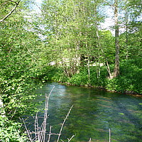 Lebensraum Fließgewässer mit flutender Wasservegetation mit umgebenden Auwald