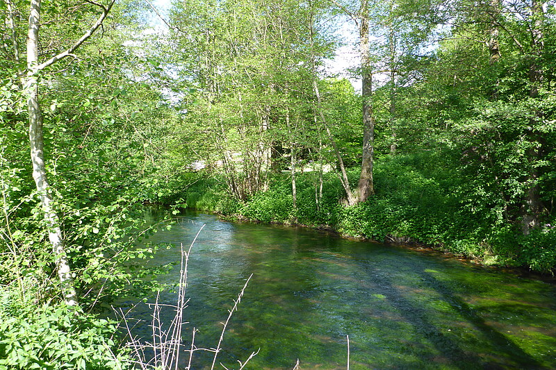 Lebensraum Fließgewässer mit flutender Wasservegetation mit umgebenden Auwald