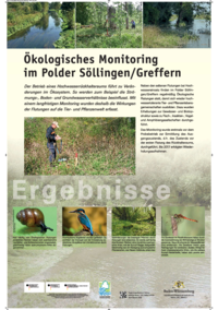 Vorschaubild: Ökologisches Monitoring im Polder Söllingen / Greffern