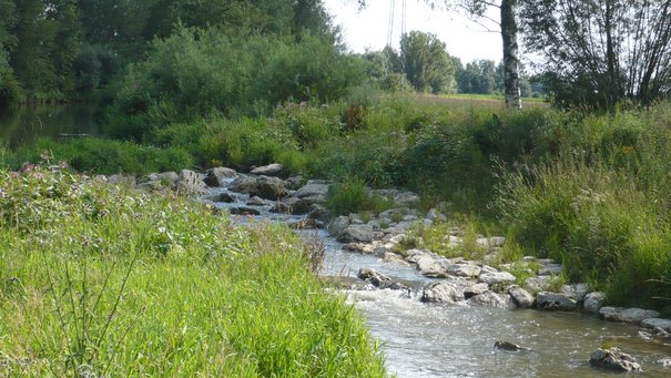 Ein Fluss - die Rottum. Man sieht eine sogenannte Rampe aus großen Steinen, die es Fischen erlaubt flussaufwärts zu schwimmen.