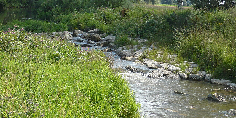 Ein Fluss - die Rottum. Man sieht eine sogenannte Rampe aus großen Steinen, die es Fischen erlaubt flussaufwärts zu schwimmen.