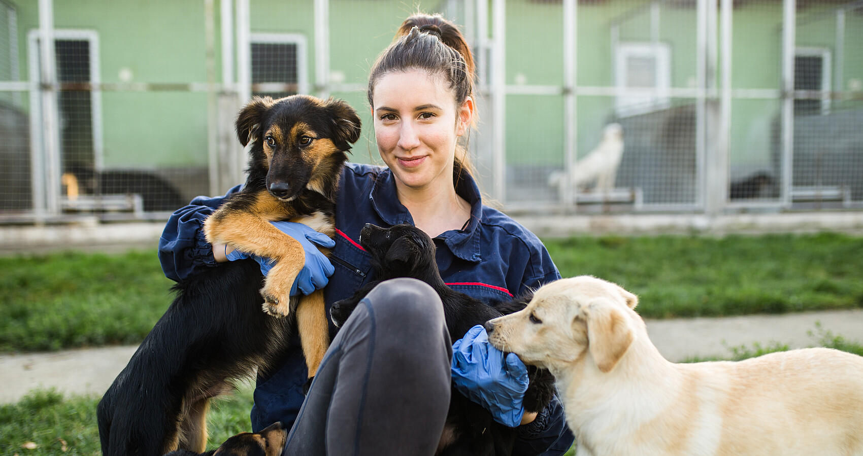 Junge Frau sitzt am Boden und hält einen Hund im Arm, ein weitere Hund steht vor ihr, im Hintergrund das Tierheim
