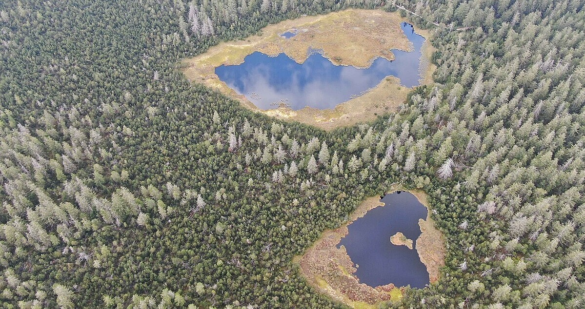 Luftbild: Zwei kleine Seen liegen inmitten von Wäldern