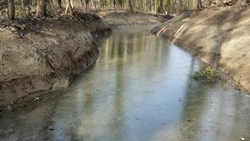 das neue Blauwasserbett