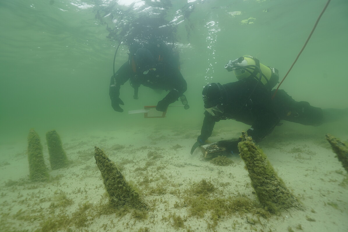 Taucher bei der Untersuchung von Pfahlreihen in der Flachwasserzone um die Insel Reichenau