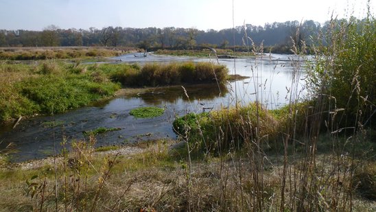 Renaturierungsmaßnahme Ober-Untermarchtal Gewann Ebene