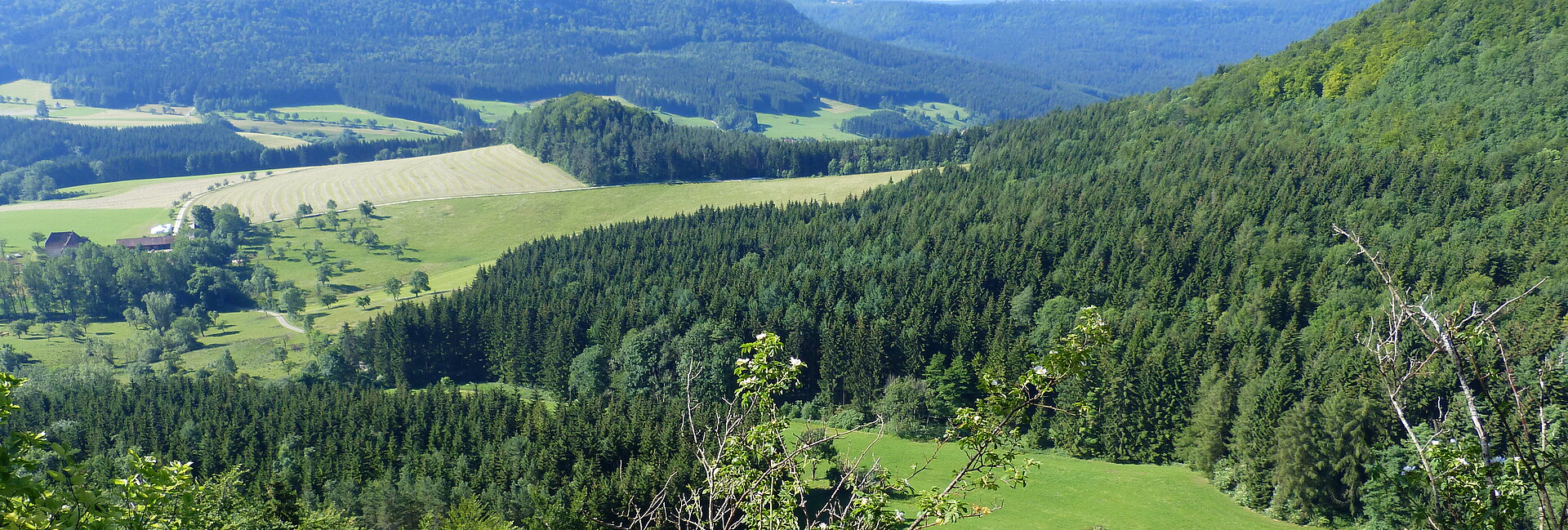 Blick auf die Landschaft vom Wenzelstein