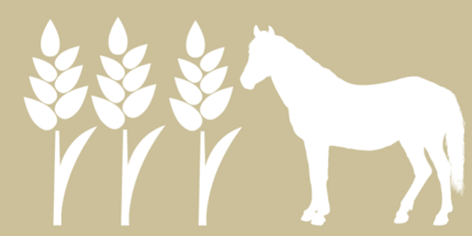 Symbolbild; stilisiertes Getreide auf beigefarbenem Untergrund mit gezichnetem Pferd
