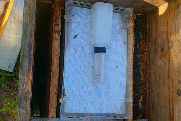 Nassenheider Verdunster: Zu sehen ist eine Schale aus Plastik mit eingelegtem Vlies-Tuch. Darauf gestellt ist ein Tropfbehälter, der das Vlies mit Ameisensäure befeuchtet.