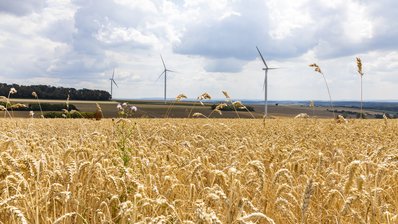 Windkraft mit Unternutzung Getreidefeld