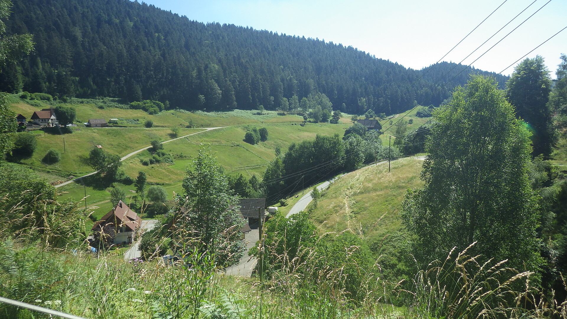 Blick über Wüstenbach (Verena Gaschick-Alkan)