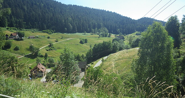 Blick über Wüstenbach (Verena Gaschick-Alkan)