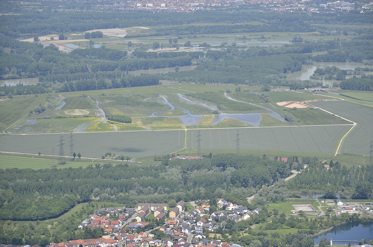 Luftbildaufnahme des Polder Rheinschanzinsel mit Blick in Richtung Norden. Zu sehen sind die mit Wasser gefüllten Gräben und Schluten im Bereich der Fläche für die partiellen Flutungen zur Auenrenaturierung. Im Hintergrund ist das überflutete Rheinvorland und auf der gegenüberliegenden Seite des Rheins der Polder Mechtersheim zu sehen.