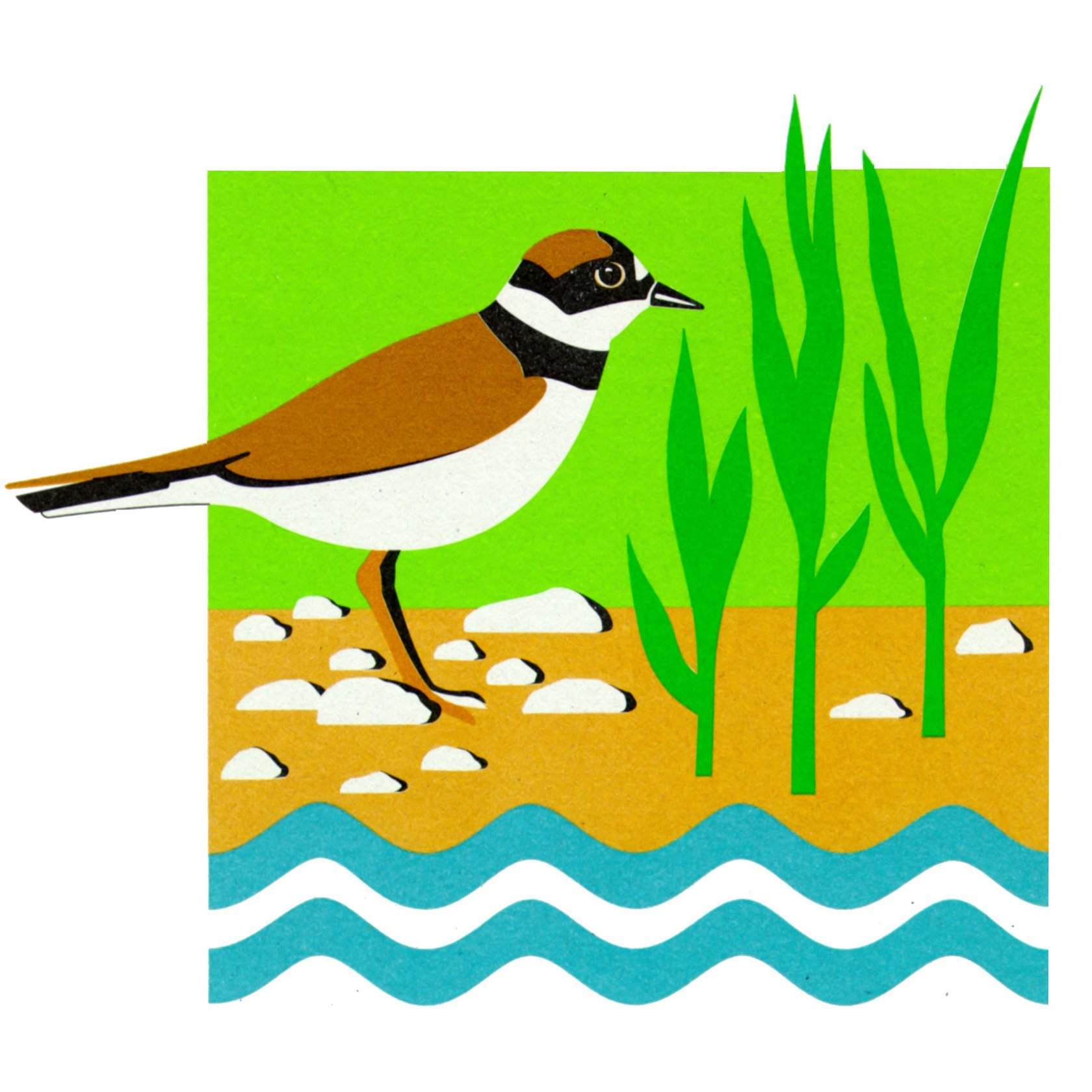 Logo des Integrierten Donauprogramms, Zeichnung einer Wasseramsael am Ufer eines Gewässers