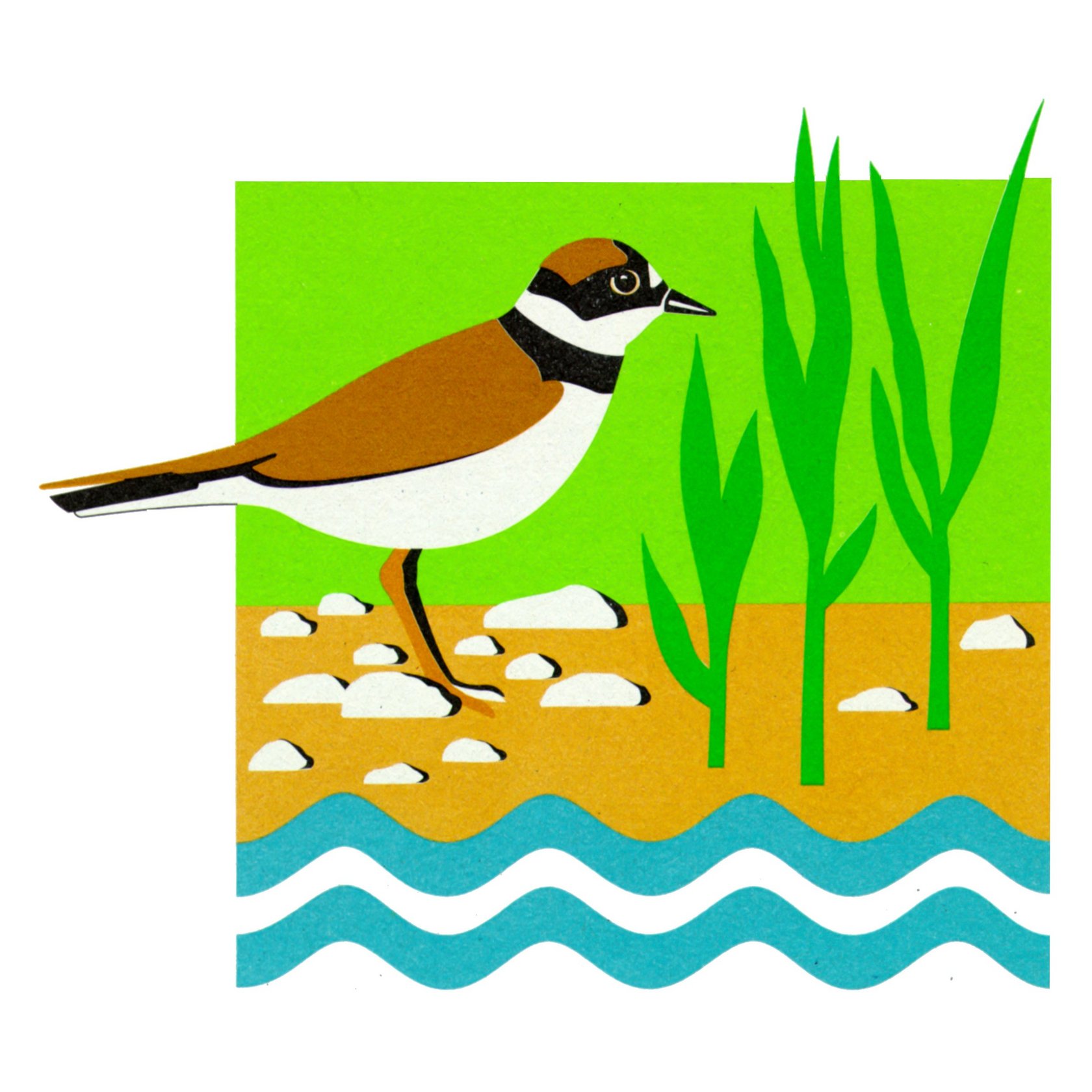 Logo des Integrierten Donauprogramms, Zeichnung einer Wasseramsael am Ufer eines Gewässers
