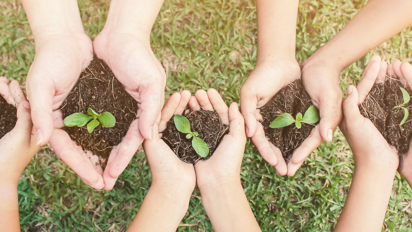 Erwachsene und Kindern halten junge Pflanzen über grünem Grashintergrund.