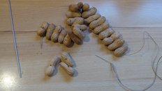 Erdnusskette, Stricknadel mit Naturschnur