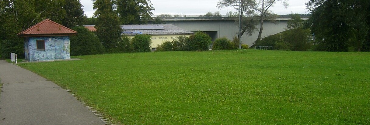 Festwiese, die derzeit vollkommen isoliert von der restlichen Parkfläche ist und im Park Neckaraue besser integriert sein soll