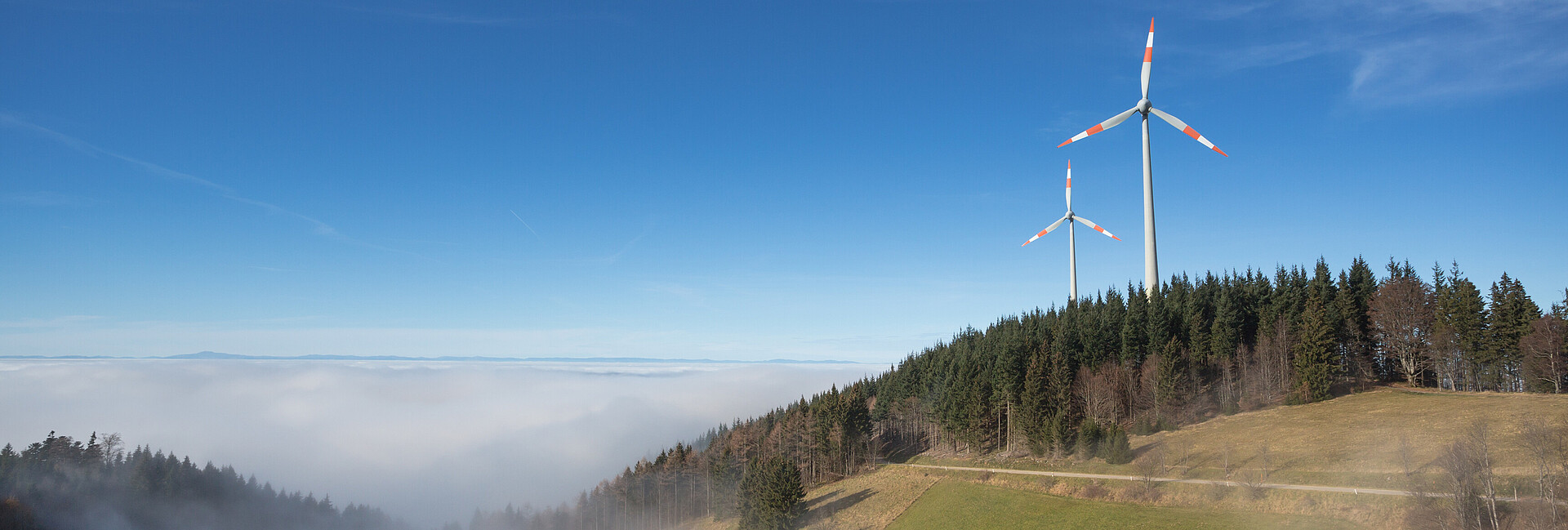 Windkraftwerke über Nebel im Schwarzwald