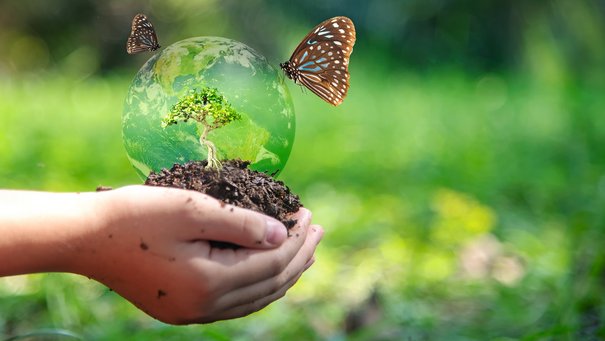Hände halten Erde, auf der ein Baum in einer durchsichtigen Kugel, die die Erde darstellt, wächst, auf der Kugel sitzen zwei Schmetterlinge