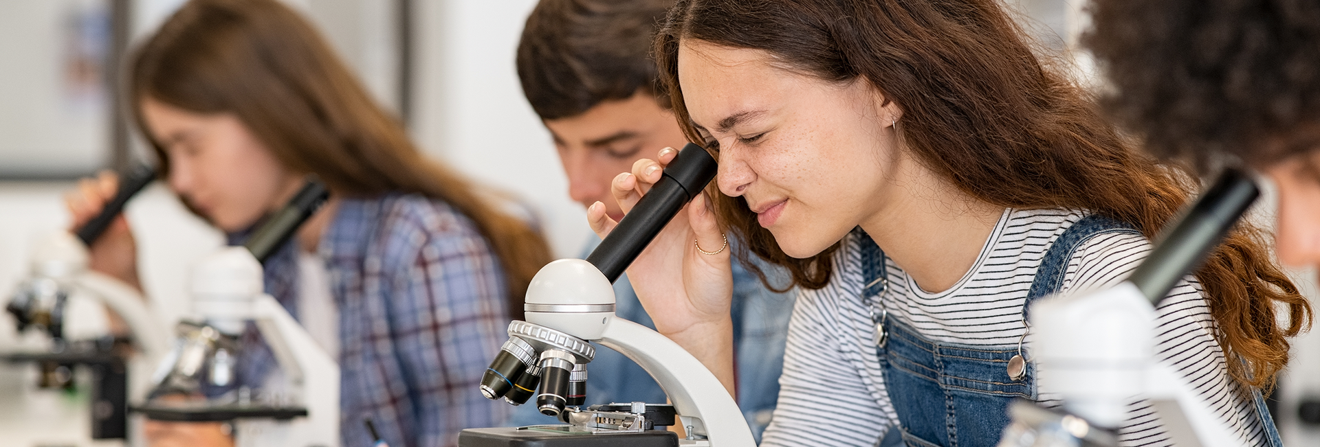 Biologieunterricht - Schülerinnen und Schüler sitzen an einem Tisch und schauen in Mikroskope