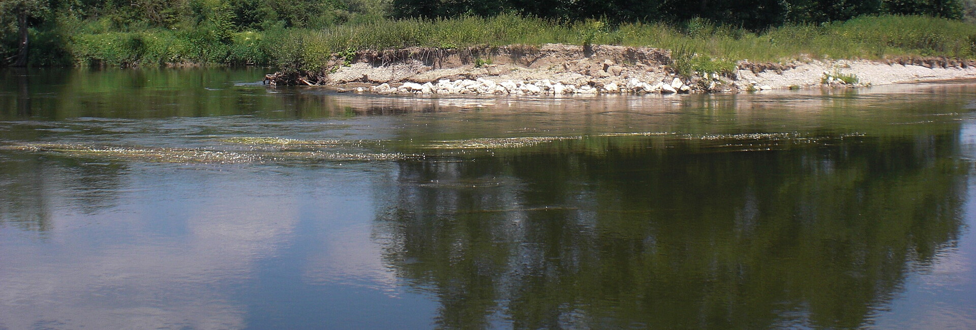 Blick auf ein Gewässer mit einem Uferabbruch