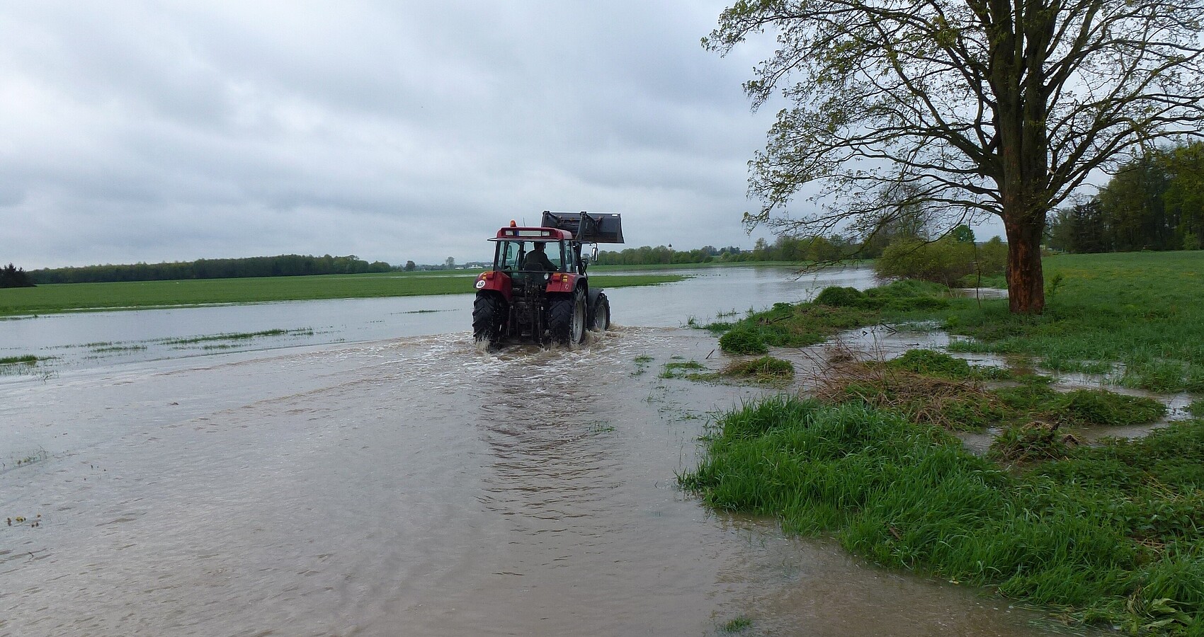 Das Foto zeigt eine überschwemmte Wiese auf dem ein Traktor fährt
