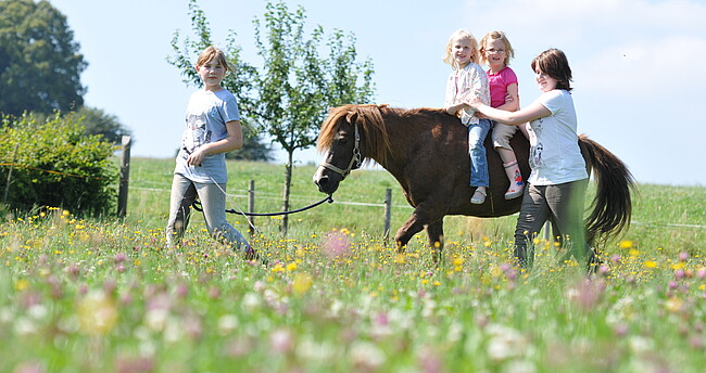 Kinder reiten auf einem Pony.