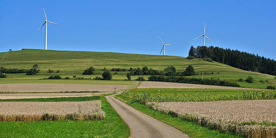 Windkraftanalge bei Sonnebühl auf einem Hügel, davor im Vordergrund führt ein Feldweg durch Weizenfelder