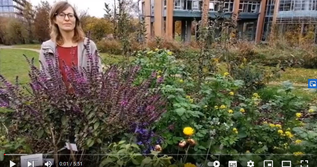 Die Biodiversitätsberaterin Hannah weniger steht hinter einem blühenden Gartenbeet, im Hintergrund das Gebäude des Regierungspräsidiums Tübingen